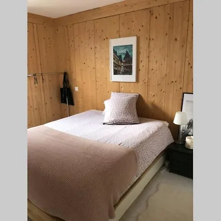 Maison Bois Massif Piscine Privatisee Proche Loire 빌라 *