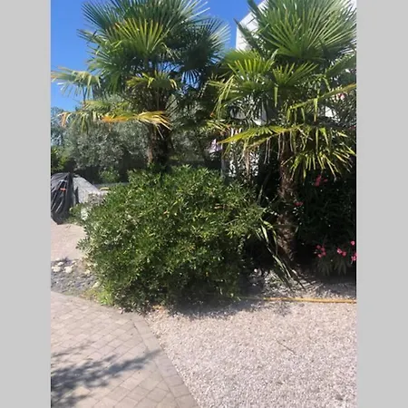 Maison Bois Massif Piscine Privatisee Proche Loire *